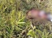 Ini Identitas Mayat yang Ditemukan di Pucuk Rantau Kuansing