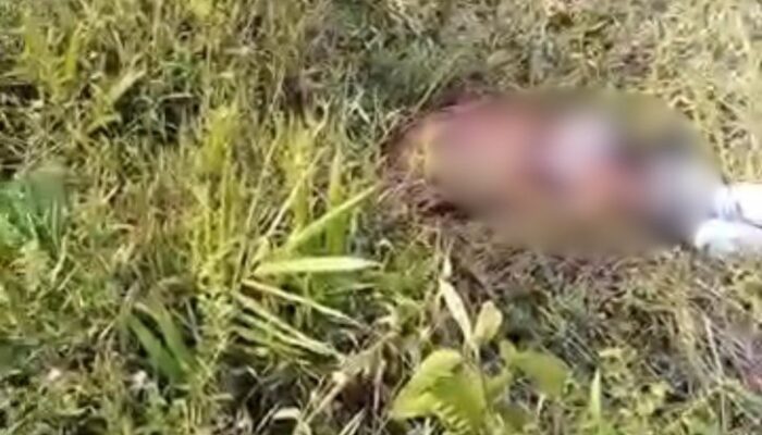 Ini Identitas Mayat yang Ditemukan di Pucuk Rantau Kuansing