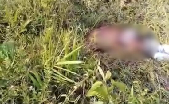 Ini Identitas Mayat yang Ditemukan di Pucuk Rantau Kuansing