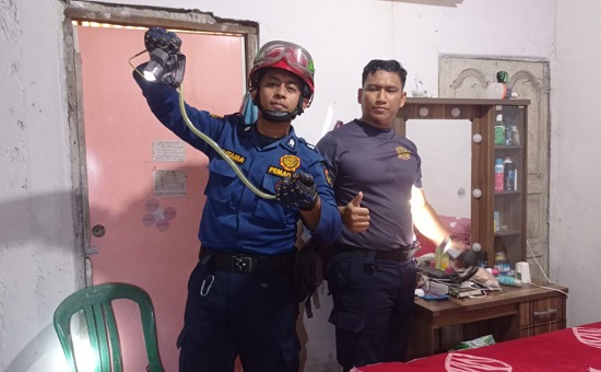 Damkar Pekanbaru Tangkap Ular Sanca Bersembunyi di Plafon Rumah Warga