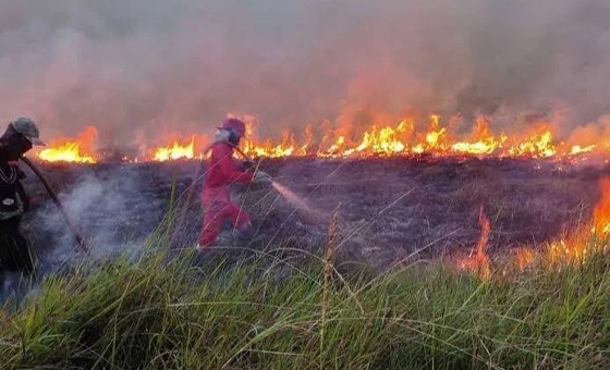 62 Sekolah di Pelalawan Diliburkan Akibat Kabut Asap