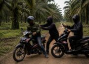 Kakak Adik yang Jadi Korban Begal di Pelalawan Ternyata Diiming-imingi Uang Rokok, 1 Tewas