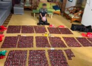 Kurir Narkoba Ditangkap di Pekanbaru, Polisi Sita 6,94 Kg Sabu dan Ratusan Etomidate