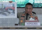 Polres Rohil Ungkap Perambahan Hutan Mangrove Ilegal, 1 Tersangka Diamankan