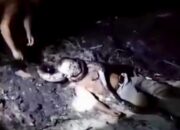 Niat Tangkap Ular Berujung Petaka, Warga Rohil Terlilit hingga Koma