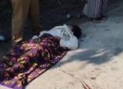 Truk Kembali Terlibat Kecelakaan di Jalintim Seikijang Pelalawan