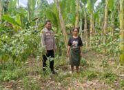 Bhabinkamtibmas Teluk Kenidai Tambang Kawal Ketahanan Pangan Nasional