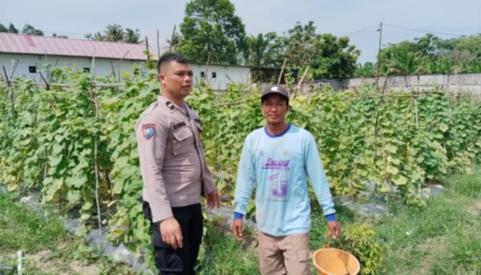 Bhabinkamtibmas Rumbai Barat Sambangi Kebun Warga