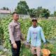 Bhabinkamtibmas Rumbai Barat Sambangi Kebun Ketapang Warga