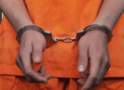 Rampok IRT Rp3 Juta, Pria di Rohil Ditangkap Saat Bersembunyi di Perkebunan Sawit