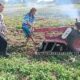 Dukung Swasembada Pangan Nasional, Polsek Payung Sekaki Tinjau Progres Lahan Jagung