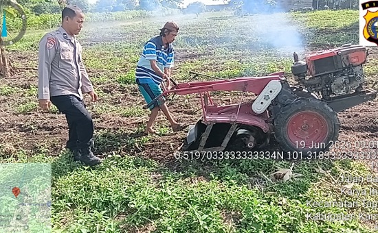 Dukung Swasembada Pangan Nasional, Polsek Payung Sekaki Tinjau Progres Lahan Jagung