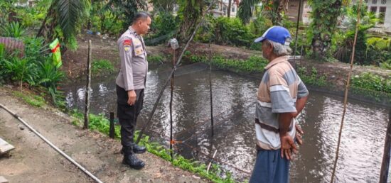 Dukung Ketahanan Pangan Nasional, Jajaran Polsek Tambang Pantau Budidaya 60 Ribu Lele