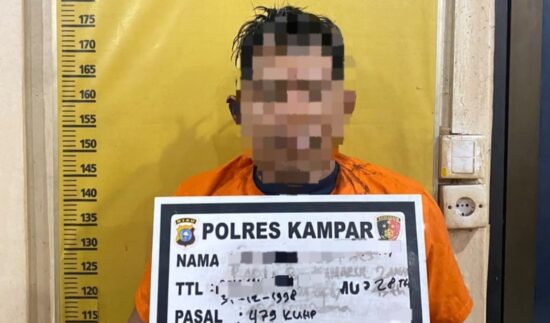 Aksi Jambret Siang Bolong di Bangkinang Berakhir di Tangan Polisi, Satu Pelaku DPO
