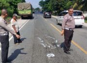 Tragis! Remaja 16 Tahun Tewas Kecelakaan dengan Truk di Jalintim Seikijang Pelalawan