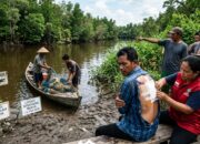 Nelayan di Rokan Hilir Diterkam Buaya Saat Pasang Pukat, Berhasil Selamat Setelah Melawan