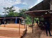 Polisi Sita 794 Batang Kayu dari Sawmill Ilegal di Kampar