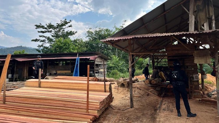 Polisi Sita 794 Batang Kayu dari Sawmill Ilegal di Kampar