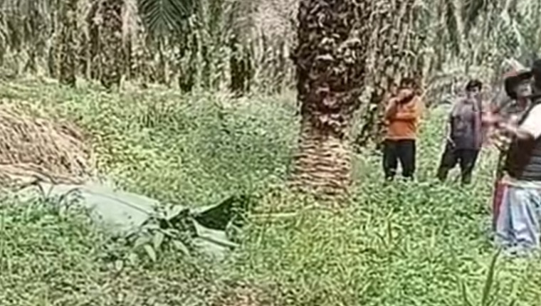 Geger! Pria yang Hilang Tiga Hari Ditemukan Tak Bernyawa di Kebun PT Serikat Putra Pelalawan