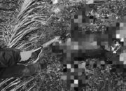 Terungkap! Ini Identitas Pria yang Ditemukan Tak Bernyawa di Kebun Sawit Pelalawan