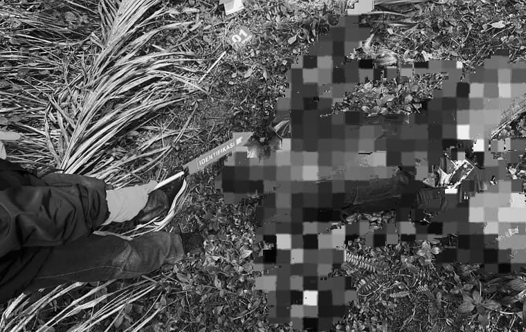Terungkap! Ini Identitas Pria yang Ditemukan Tak Bernyawa di Kebun Sawit Pelalawan