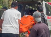 Mayat di Kebun Sawit Pelalawan Ternyata Petani