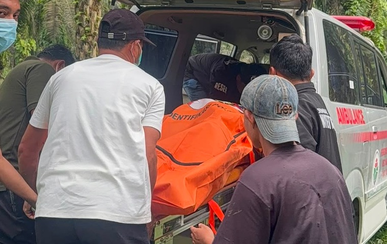 Mayat di Kebun Sawit Pelalawan Ternyata Petani