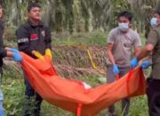Mayat Pria di Kebun Sawit Pelalawan Ternyata Sudah Membusuk Saat Ditemukan