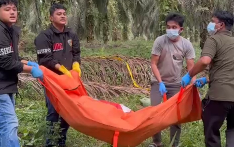 Mayat Pria di Kebun Sawit Pelalawan Ternyata Sudah Membusuk Saat Ditemukan