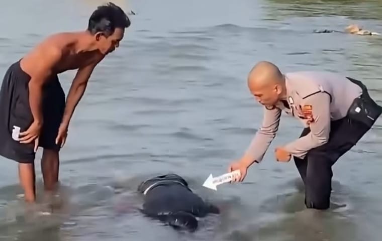 Geger! Mayat Pria Ditemukan Tersangkut di Sungai Rokan Ujung Batu