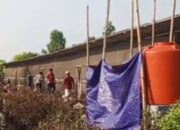 3 Bulan Bau Menyengat, Warga Rimbo Panjang Protes Kandang Ayam Dekat Perumahan