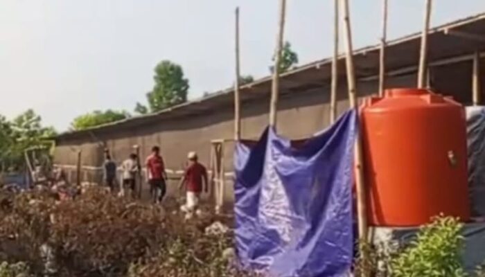 3 Bulan Bau Menyengat, Warga Rimbo Panjang Protes Kandang Ayam Dekat Perumahan