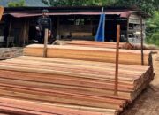 Ditreskrimsus Polda Riau Bongkar Kilang Kayu Ilegal Skala Besar di Sungai Sarik Kampar