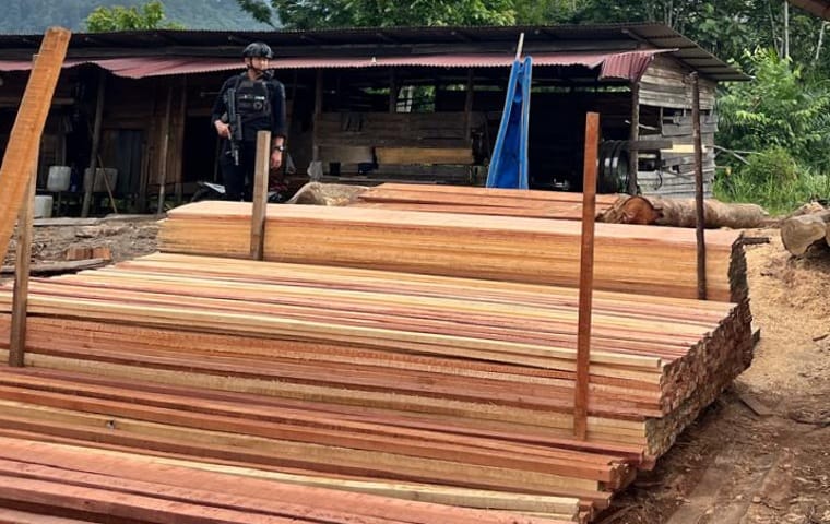 Ditreskrimsus Polda Riau Bongkar Kilang Kayu Ilegal Skala Besar di Sungai Sarik Kampar