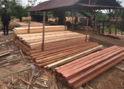 Mandor Sawmill di Kampar Kiri Resmi Jadi Tersangka!