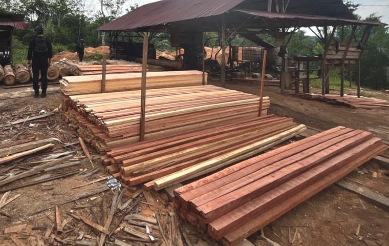 Mandor Sawmill di Kampar Kiri Resmi Jadi Tersangka!