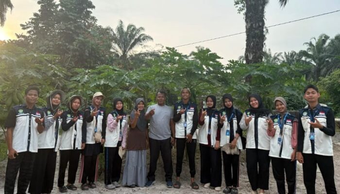 Mahasiswa KKN UNRI Sulap Air Kolam dan Daun Pepaya Jadi Pupuk Organik, Petani Desa Bukit Kratai Antusias