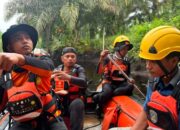 5 Personel SAR Dikerahkan Cari Korban Diduga Diterkam Buaya di Dumai