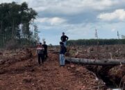 Jerat Hukum Berat Menanti, Polisi Tegaskan Perusak Hutan Akan Ditindak Tanpa Ampun