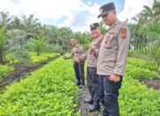 Kapolsek Kampar Kiri Hilir Turun ke Desa, Pastikan Pekarangan Pangan Bergizi Jadi Garda Terdepan