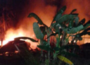 Rumah Terbakar di Padang Pariaman, Dua Penghuni Tewas Terjebak Api
