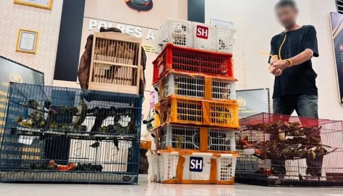 BKSDA Sumbar Gagalkan Perdagangan 225 Burung Liar, Satu Pelaku Ditangkap