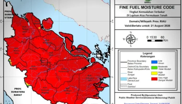 BMKG Deteksi 1.104 Titik Panas di Sumatera, Riau Capai 97 Hotspot