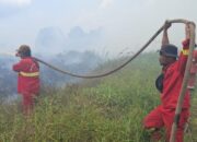 Pemadaman Karhutla di Riau Terkendala Air hingga Pompa Dipindah Tiap 30 Menit