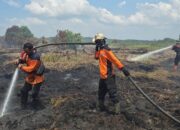 Rohil Tetapkan Status Darurat Karhutla hingga November, 475 Hotspot Jadi Alarm Bahaya