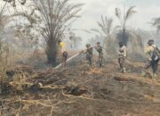 Karhutla Bengkalis Mengamuk, Tim Gabungan Bergerak Cepat Jinakkan Api di Dua Lokasi