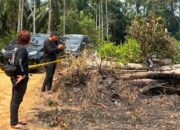 Bakar Ranting untuk Usir Nyamuk, Pensiunan 68 Tahun Diamankan Polisi
