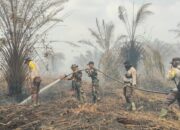 Lahan Perusahaan di Bengkalis Terbakar, Karhutla Capai 11,2 Hektare
