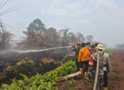 Karhutla di Bengkalis Capai 22,3 Hektare, Petugas Masih Temukan Titik Api