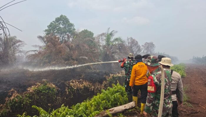 Karhutla di Bengkalis Capai 22,3 Hektare, Petugas Masih Temukan Titik Api
